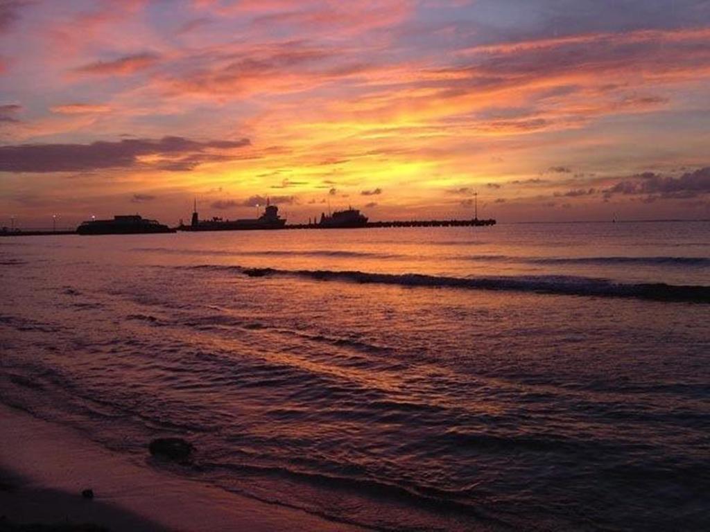 Rancho Sakol Otel Puerto Morelos Dış mekan fotoğraf