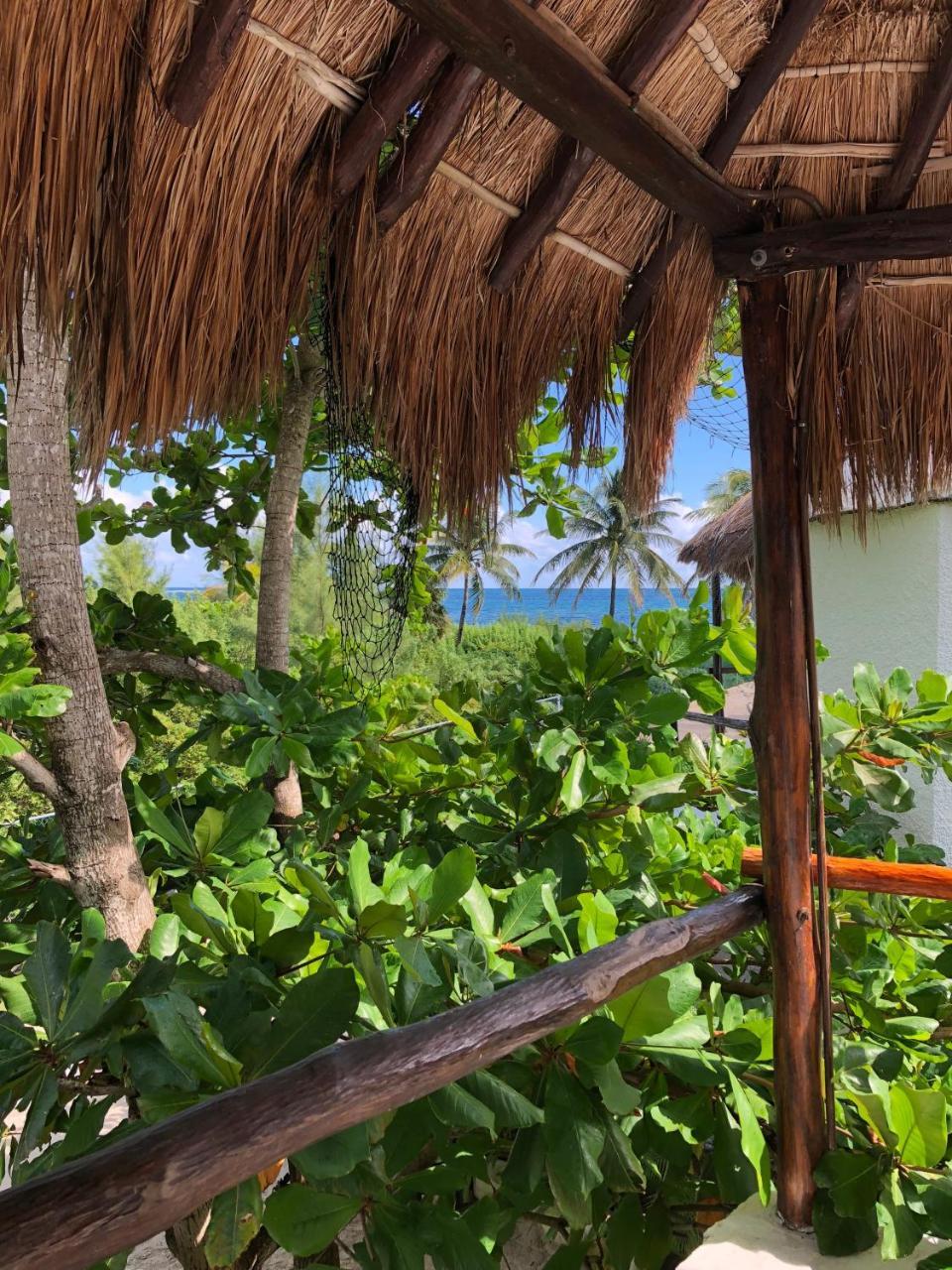 Rancho Sakol Otel Puerto Morelos Oda fotoğraf